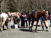 クルーにお任せして。ライダーは　　　トイレ休憩。