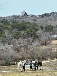 遊馬らんどグラスホッパー大阪深山の特設会場