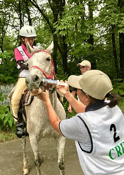 写真は親子で挑戦、細やかな気配りクルーは経験豊富なメンバー間がおすすめです。